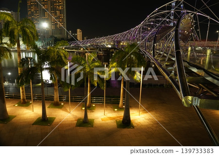 Night View of Helix Bridge and Palm Trees in Singapore 139733383