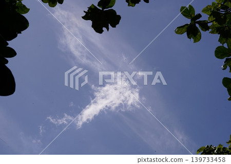 Blue Sky and Clouds Framing Nature Image 139733458