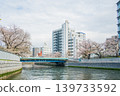 Oyokogawa Cherry Blossom Avenue 01 139733592