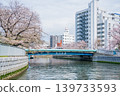 Oyokogawa Cherry Blossom Avenue 02 139733593