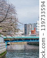 Oyokogawa Cherry Blossom Avenue 03 139733594