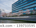 Oyokogawa Cherry Blossom Avenue 04 139733595