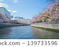 Oyokogawa Cherry Blossom Avenue 05 139733596
