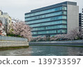 Oyokogawa Cherry Blossom Avenue 06 139733597