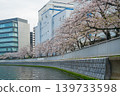 Oyokogawa Cherry Blossom Avenue 07 139733598