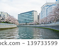 Oyokogawa Cherry Blossom Avenue 08 139733599