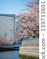 Oyokogawa Cherry Blossom Avenue 10 139733601
