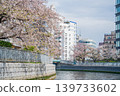 Oyokogawa Cherry Blossom Avenue 11 139733602