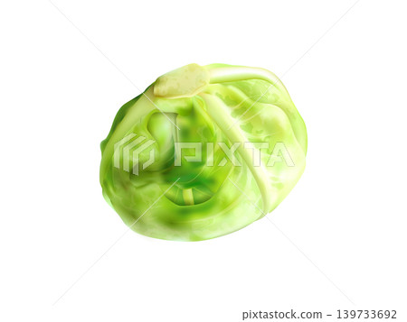 Cabbage fresh vegetable 3d realistic design Cabbage fresh vegetable 3d realistic design 139733692