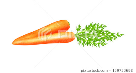 Carrot garden fresh vegetable 3d render on transparent background Carrot garden fresh vegetable 3d render on transparent background 139733698
