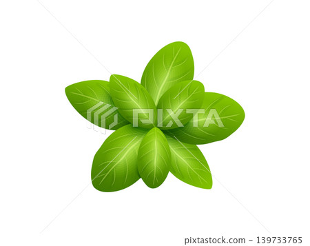 Fresh mint leaf or melissa leaves isolated on transparent background 3d render for organic herbal design, food illustration Fresh mint leaf or melissa leaves isolated on transparent background 3d render for organic herbal design, food illustration 139733765
