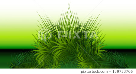 Fresh realistic long grass cluster. Green lawn border for spring and summer landscape scenes, nature decor and eco friendly illustration Fresh realistic long grass cluster. Green lawn border for spring and summer landscape scenes, nature decor and eco friendly illustration 139733766