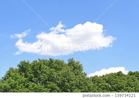 新的綠色，藍天和白色雲彩 139734121