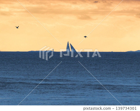 飛越大海的海鷗 139734301