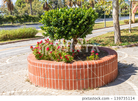 Circular brick planter with green shrub and colorful flowers in park Circular brick planter with green shrub and colorful flowers in park 139735114