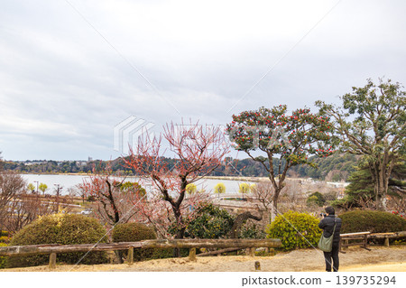 從偕樂園山頂眺望千波湖。 從偕樂園山頂眺望千波湖。 139735294