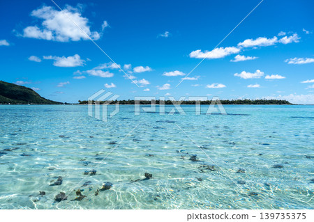 White sand beach of Motu Tiapaa in Maupiti, French Polynesia White sand beach of Motu Tiapaa in Maupiti, French Polynesia 139735375