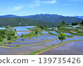 Takasu Rice Terraces: Water-filling season, Tosa Town, Kochi Prefecture 139735426