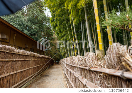 美麗的竹林風景 139736442