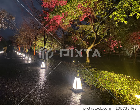 Autumn leaves at night Autumn leaves at night 139736463