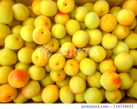 Many fully ripened Nanko plums Many fully ripened Nanko plums 139736655