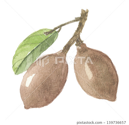 水彩畫的庫普阿蘇 139736657