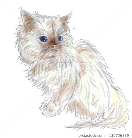 Watercolor-style hand-drawn illustration of a long-haired cat Watercolor-style hand-drawn illustration of a long-haired cat 139736889