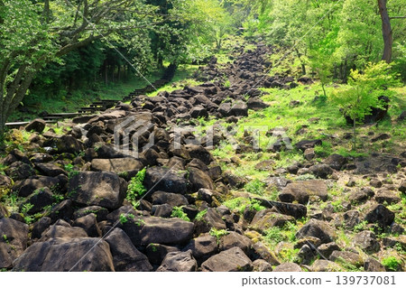 Nabekura Valley in the fresh greenery Nabekura Valley in the fresh greenery 139737081