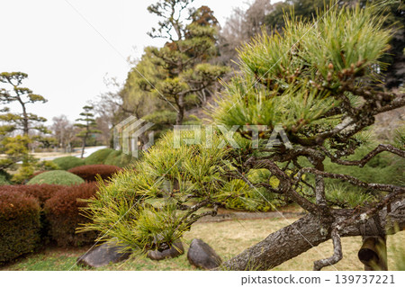 美麗的日式庭園景觀 美麗的日式庭園景觀 139737221