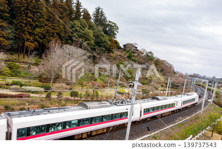 一列常磐線列車駛過水戶偕樂園。 一列常磐線列車駛過水戶偕樂園。 139737543