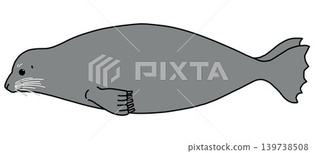 海豹（側視圖） 139738508