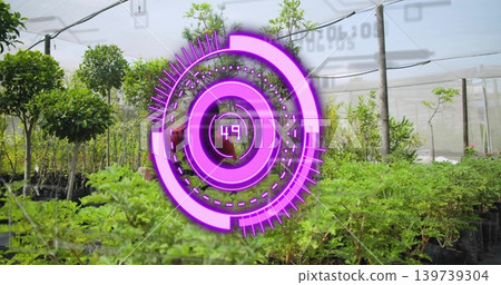 Hovering magenta circular AR graphic showing 49, overlaying shade greenhouse rows with black pots Hovering magenta circular AR graphic showing 49, overlaying shade greenhouse rows with black pots 139739304
