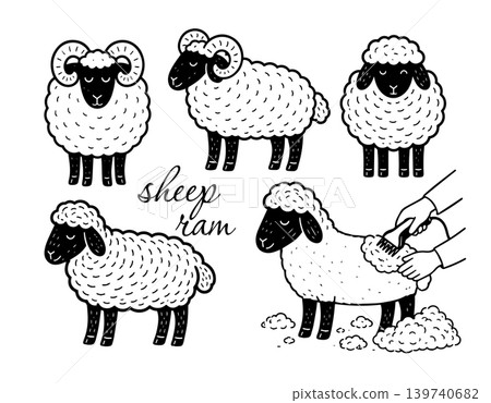 Sheep and ram set. Hand drawn. Not AI, vector illustration. Sheep and ram set. Hand drawn. Not AI, vector illustration. 139740682