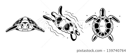 Turtle set from different angles . Hand drawn. Not AI, vector illustration. Turtle set from different angles . Hand drawn. Not AI, vector illustration. 139740764