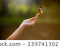 Butterfly Resting on Finger Tip Against Golden Sunset Sky. Butterfly resting finger tip hand touch freedom inspiration nature concept hope serenity golden sunset sunrise silhouette sky background 139741302