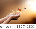 Butterfly Resting on Finger Tip Against Golden Sunset Sky. Butterfly resting finger tip hand touch freedom inspiration nature concept hope serenity golden sunset sunrise silhouette sky background 139741303