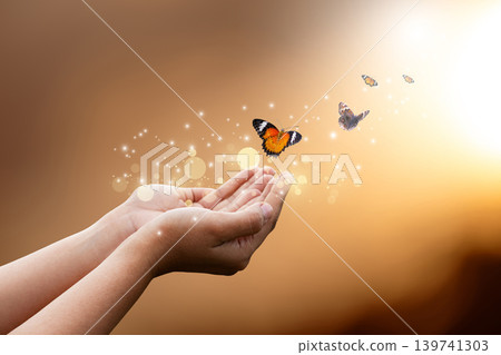 Butterfly Resting on Finger Tip Against Golden Sunset Sky. Butterfly resting finger tip hand touch freedom inspiration nature concept hope serenity golden sunset sunrise silhouette sky background Butterfly Resting on Finger Tip Against Golden Sunset Sky. Butterfly resting finger tip hand touch freedom inspiration nature concept hope serenity golden sunset sunrise silhouette sky background 139741303