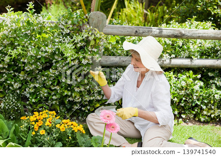 Senior woman gardening in garden wearing straw sun hat and yellow gloves with tray, copy space Senior woman gardening in garden wearing straw sun hat and yellow gloves with tray, copy space 139741540