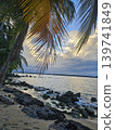 Bocas del Toro Beach (Panama) 139741849