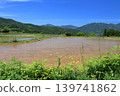 Viewing the terraced rice fields in the sky - Yoshinobu, Motoyama Town, Kochi Prefecture 139741862