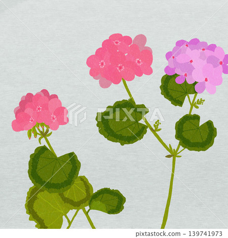 Hand-drawn flower illustration: Geranium Hand-drawn flower illustration: Geranium 139741973
