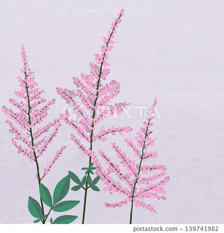 Hand-drawn flower illustration: Astilbe 139741982