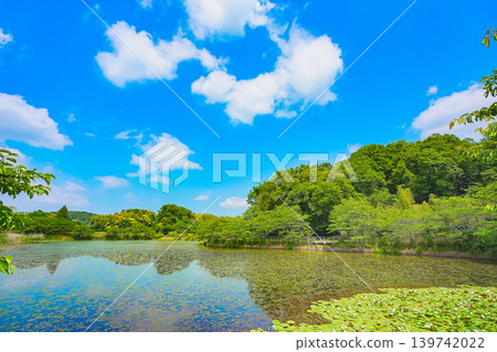 藍藍的天空,反映在池塘里 藍藍的天空,反映在池塘里 139742022