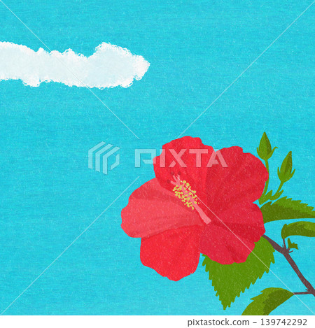 Hand-drawn flower illustration: Hibiscus Hand-drawn flower illustration: Hibiscus 139742292