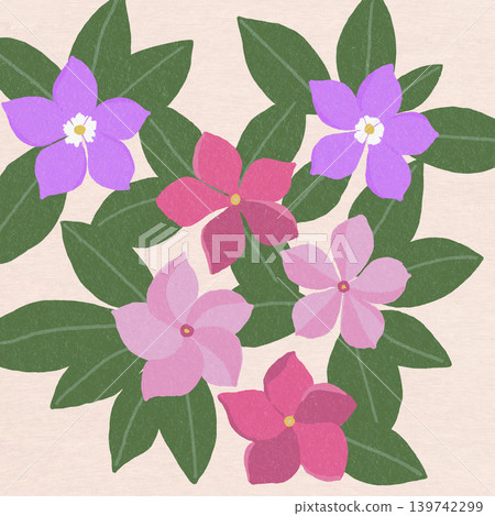 Hand-drawn flower illustration: Vinca 139742299