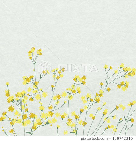 Hand-drawn flower illustration - Solidago Hand-drawn flower illustration - Solidago 139742310