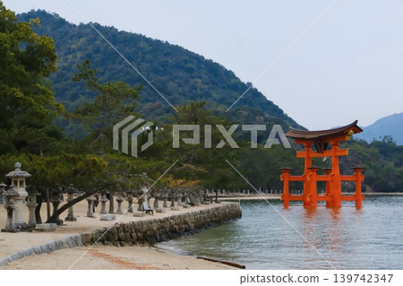 Aki的Miyajima Aki的Miyajima 139742347