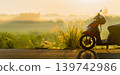 Scooter in a foggy landscape on an empty road at golden morning light, atmospheric background with copy space for design. High quality photo 139742986