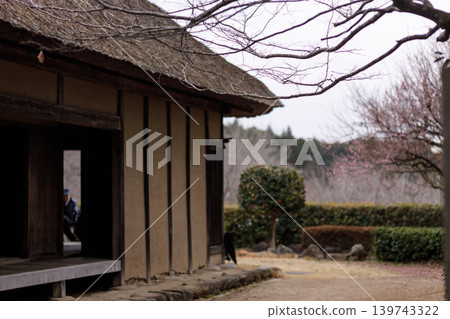 茨城縣日立不動木市山上的一座古老的茅草屋。 139743322