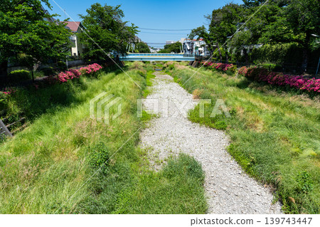 A stroll along the parched Nogawa River, passing puddles. Shibasaki, Chofu City, Tokyo. 139743447